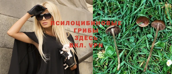 прущая мука Михайловск