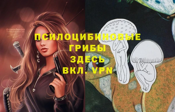 PSILOCYBIN Михайлов