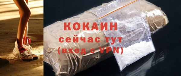 PSILOCYBIN Михайлов
