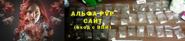 PSILOCYBIN Михайлов