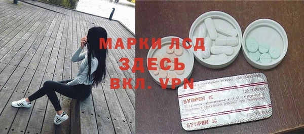 PSILOCYBIN Михайлов