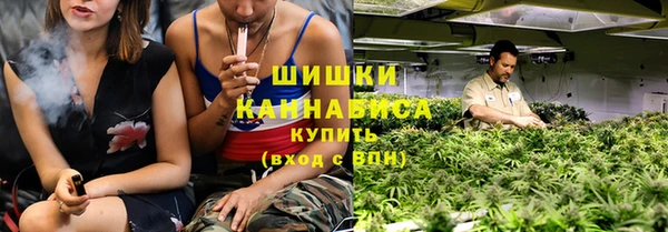 PSILOCYBIN Михайлов